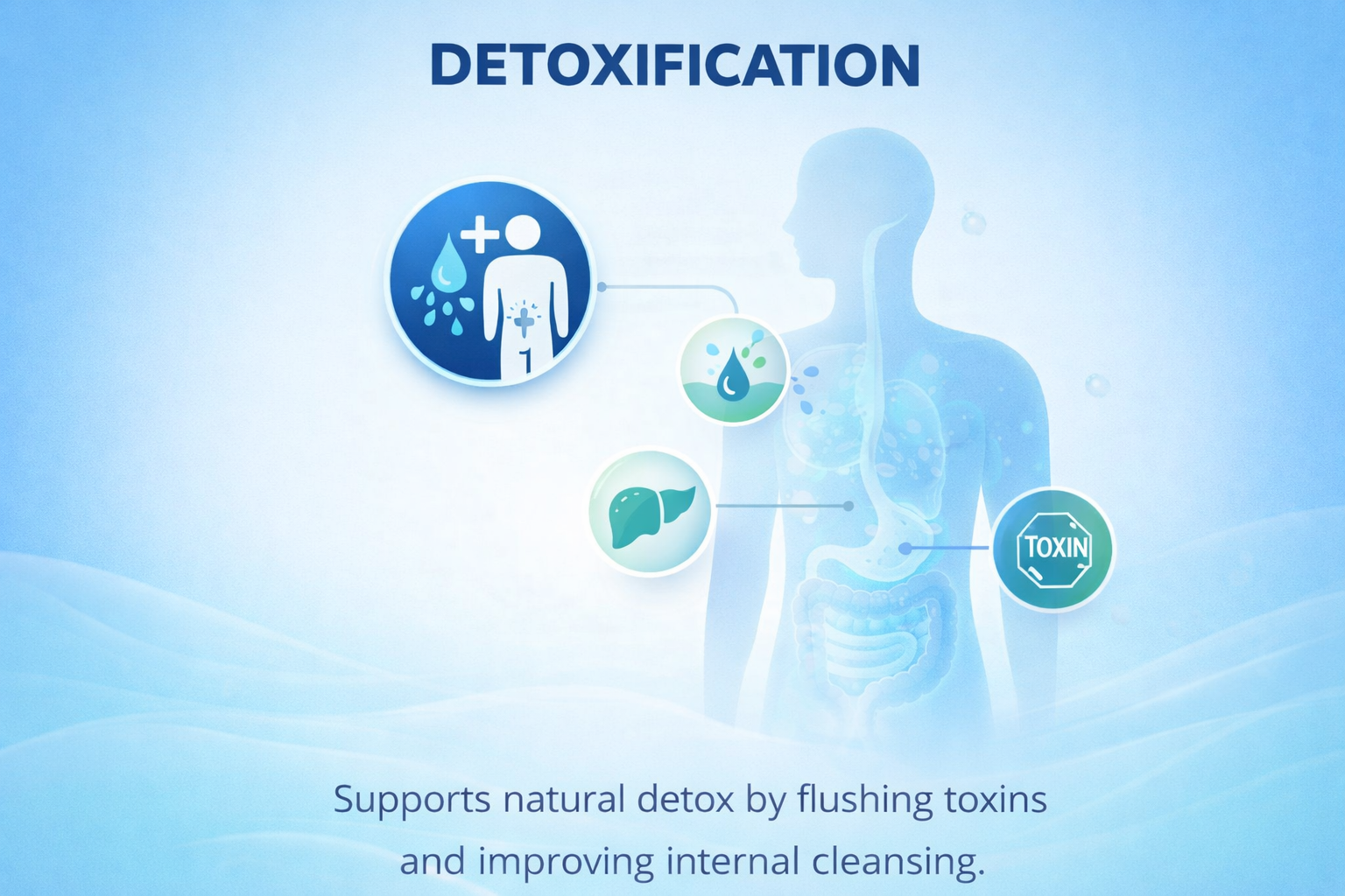 Natural Detoxification